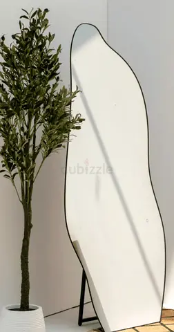 Modern Irregular Full Length Floor Mirror