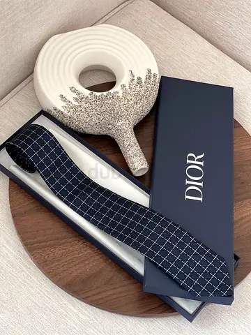 Dior Suit Ties For Men