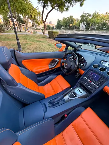 2013 Lamborghini GALLARDO 缩略图 10