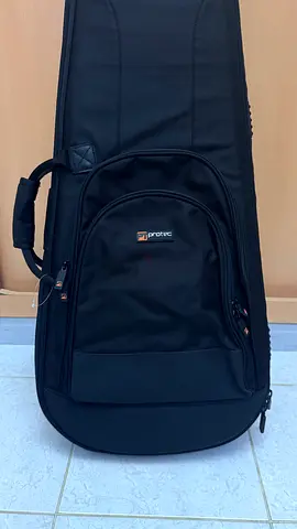 PROTEC GUITAR CASE
