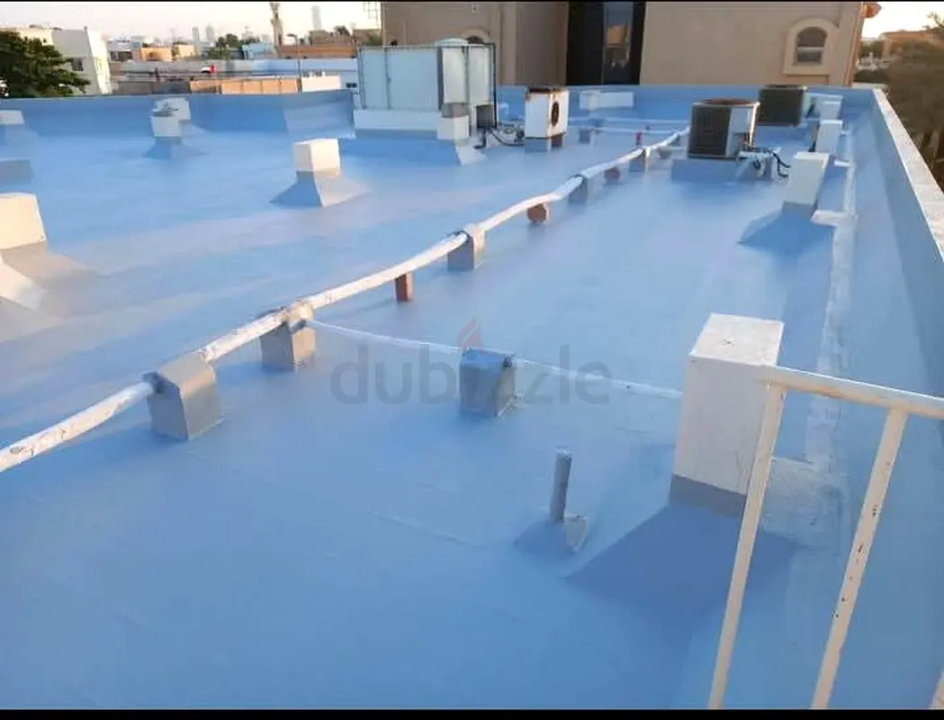 DPV_View_Image_2