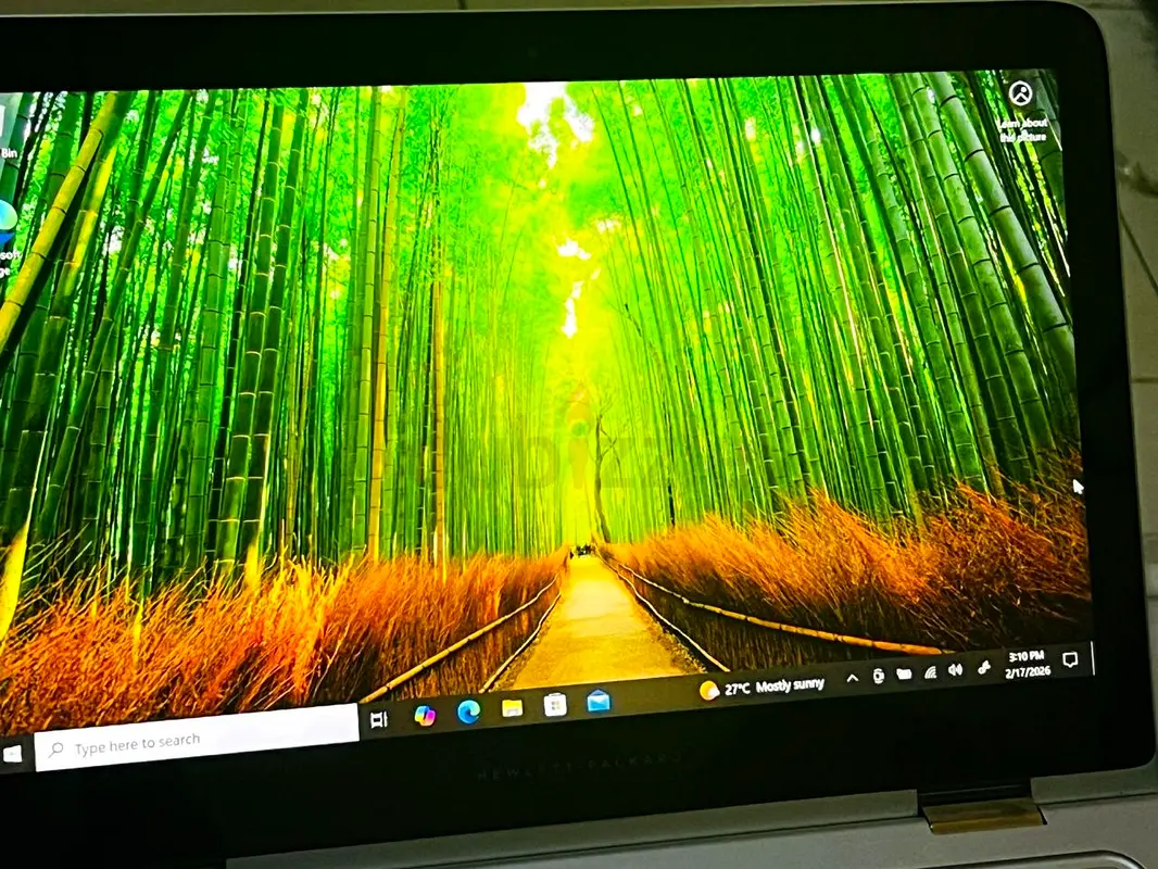 gallery-image