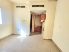 Spacious studio with separate kitchen