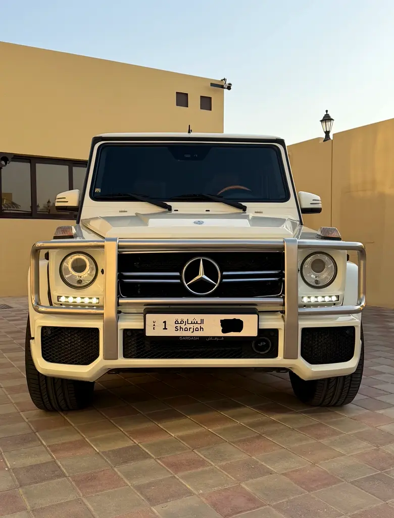 Mercedes-Benz G-Class 2009 — photo 1 of 15