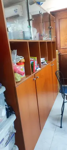 Kitchen cabinet