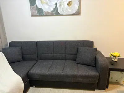 L-shaped Fabric Sofa bed