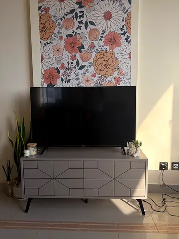 Tv/shoe cabinet