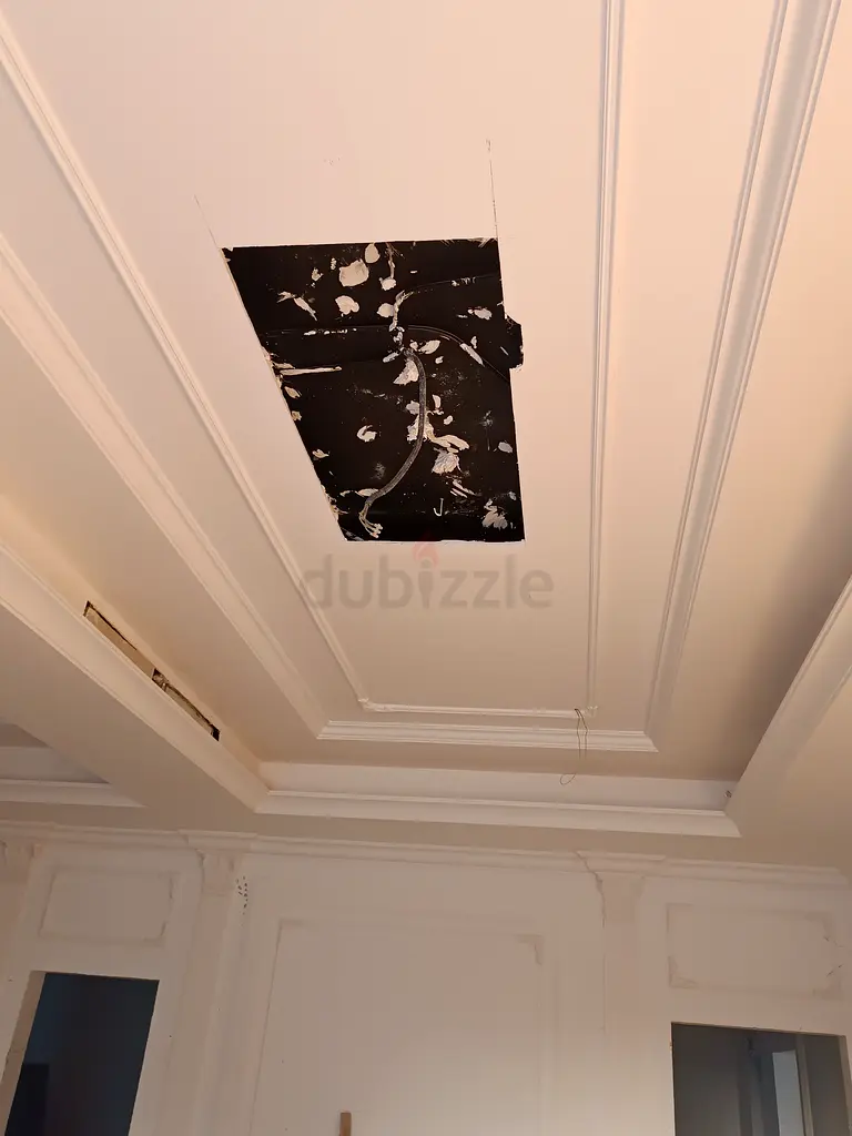 DPV_View_Image_0