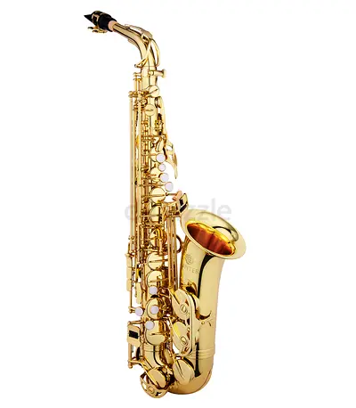 Jupiter Eb Alto Saxophone JAS510Q with Brass Neck, Plastic Pad Resonator - Gold- Brand New