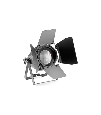 Stagg King PAR 60 with 1 x 60-Watt RGB COB LED - Brand New