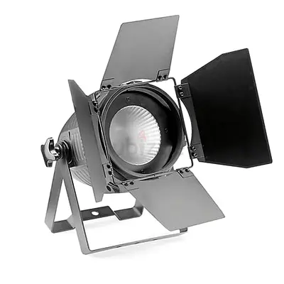 Stagg King PAR 60 with 1 x 60-Watt RGB COB LED