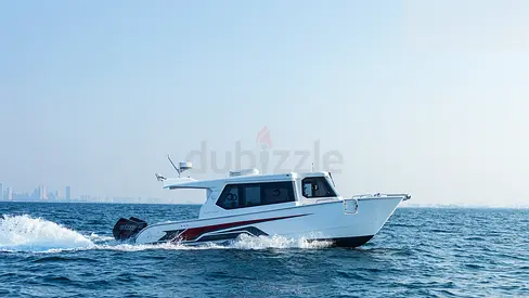 SilverCat 34 LUX