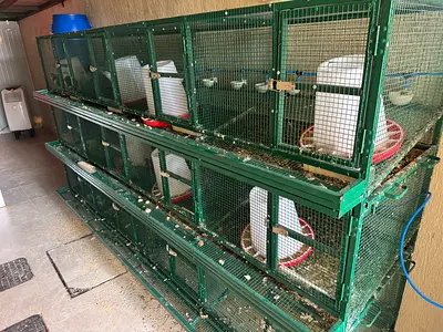 Cages and many more