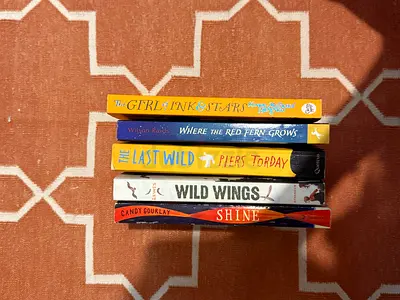 Bundle of 5 Young Adult / Teen Fiction Books - The Last Wild, Wild Wings, Girl of ink and stars etc
