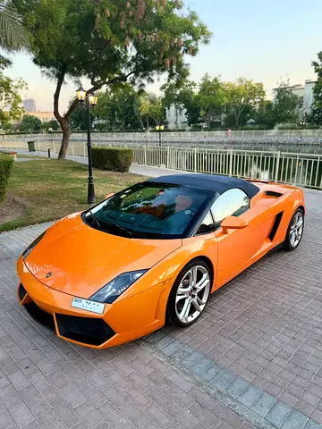 2013 Lamborghini GALLARDO 缩略图 17