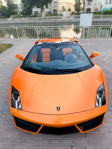 2013 Lamborghini GALLARDO 缩略图 19