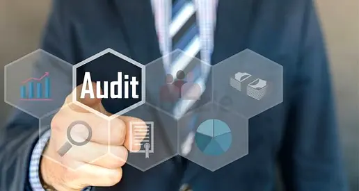 Audit and tax license ( court expert owner )