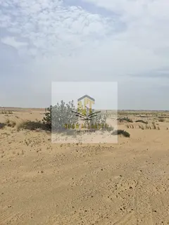 . A unique investment opportunity – residential land in Blida 2 in a prime location near the publi