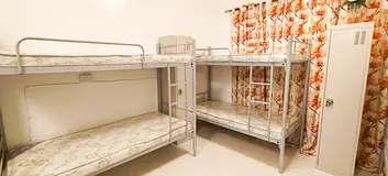 Executive BACHILER bedspace awailble in ras al khor near marhaba mall