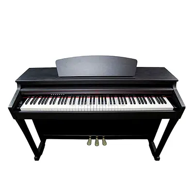 Ringway Digital Piano With Oriental Scale, 88 Hammer Action Keys, 64 Polyphony