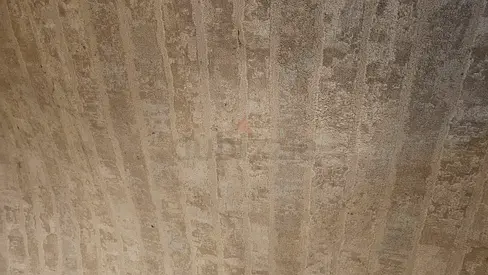 Large Carpet For Sale - Used