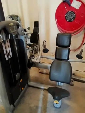 Technogym Arm Extension Machine – Commercial Triceps Strength Equipment