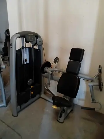 Technogym Selection Arm Curl