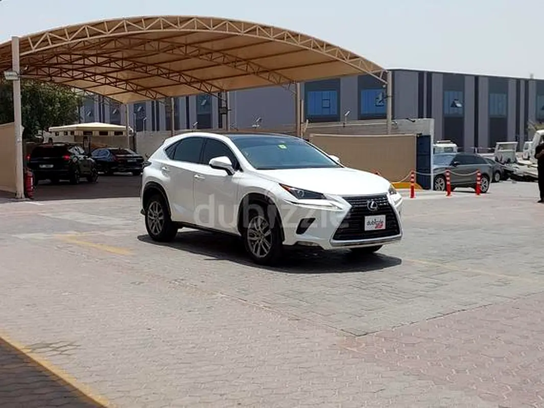 Lexus NX-Series 2020 — photo 1 of 15