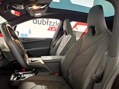 2024 BMW IX 照片 13