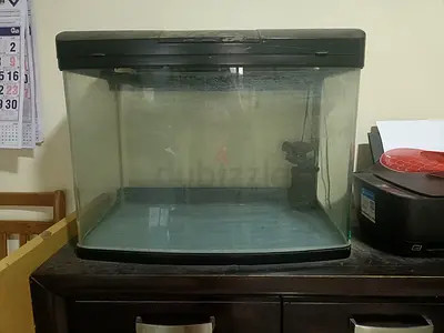 Glass fish tank with lid and filter