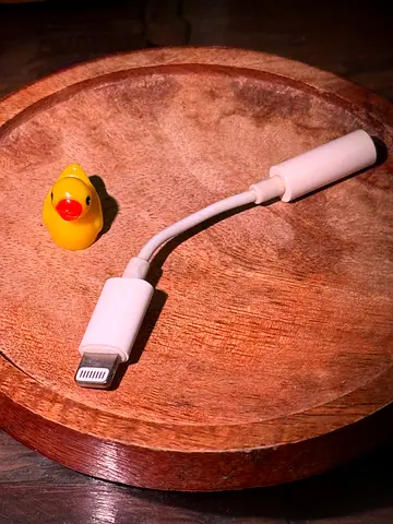 Lightning to 3.5mm Audio Adapter for iPhone, Headphone Jack Converter