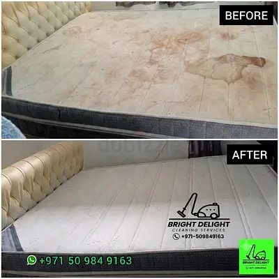 Deep shampoo cleaning and disinfectant of sofa/couch, mattress, chairs, curtains.