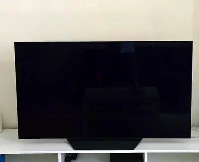 55-inch LG OLED Smart TV – used a couple of times- almost new Lg55b1pva