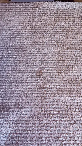Home box rug