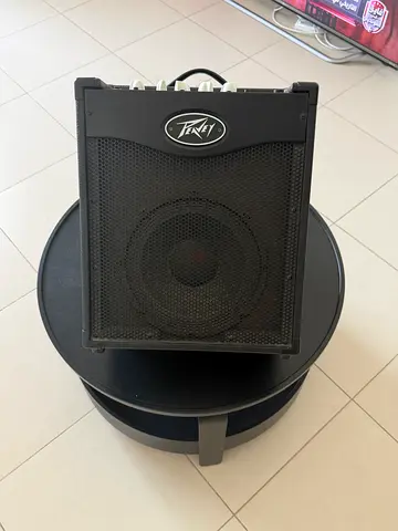 Bass amplifier speaker