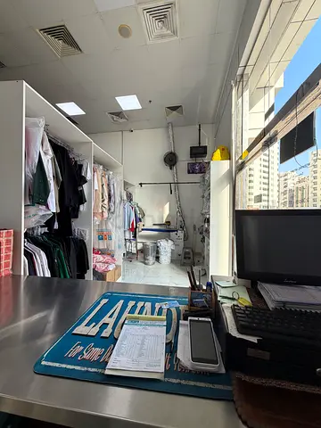 Professional Laundry for sale