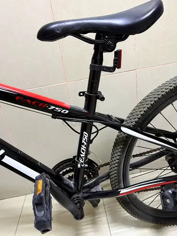 Used Ct-750 Mountain Bike -