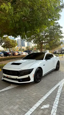 Ford Mustang GT Premium fastback / highest trim 2024