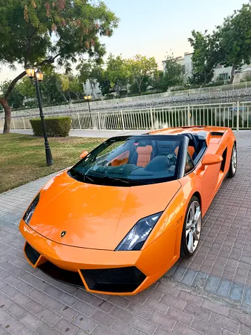 2013 Lamborghini GALLARDO 缩略图 15