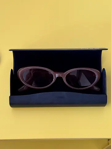 CIDER black sunglasses hard case