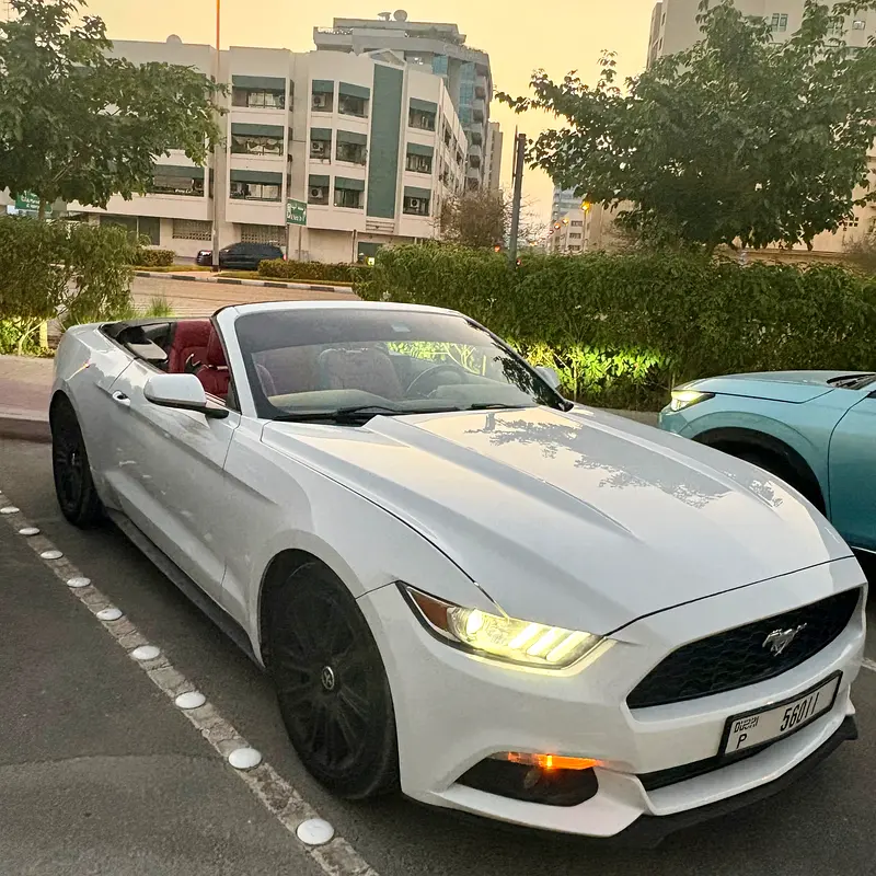 Ford Mustang 2015 — photo 1 of 13