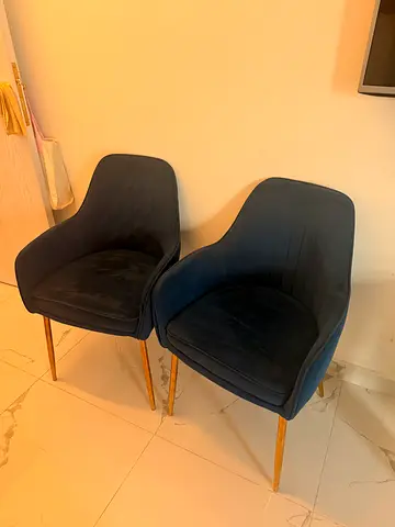 Pair of navy blue velvet dining chairs with gold legs