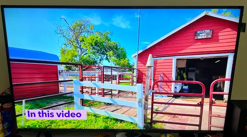 SONY BRAVIA 65 inch 4k uhd smart Android  google tv
