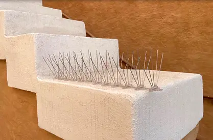 Set of Stainless Steel Bird Spikes —