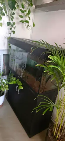 Aquarium for sale