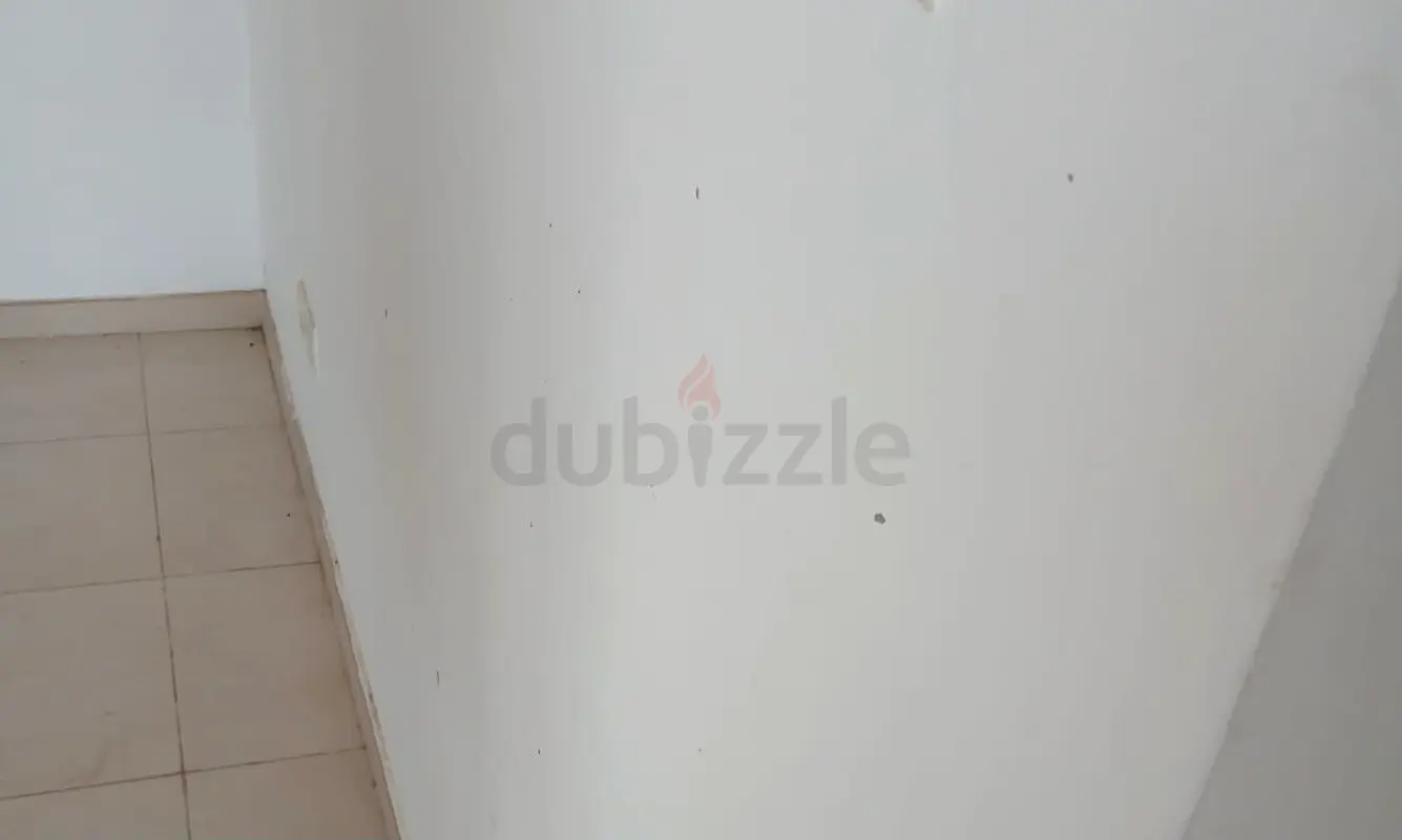 DPV_View_Image_2