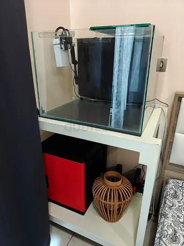 Aquarium with Stand and Filter