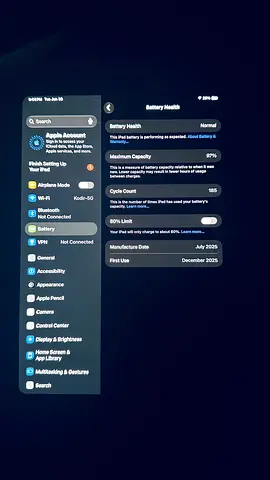 iPad Pro m4 256gb 97%