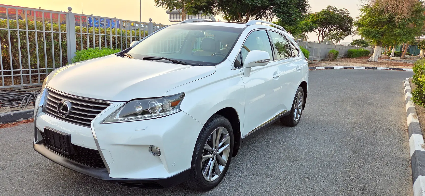Lexus RX-Series 2013 — photo 1 of 20
