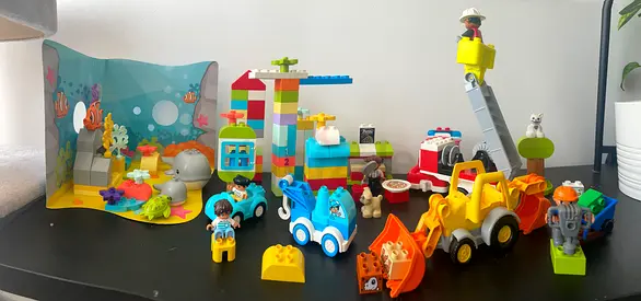 Duplo bundle